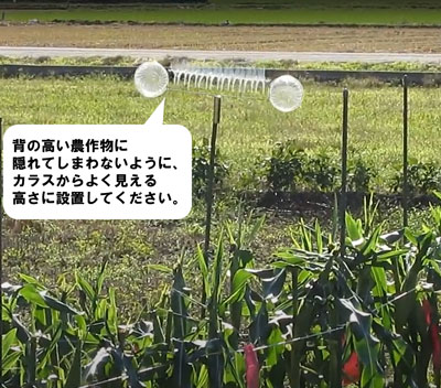 カラスからよく見える高さに設置